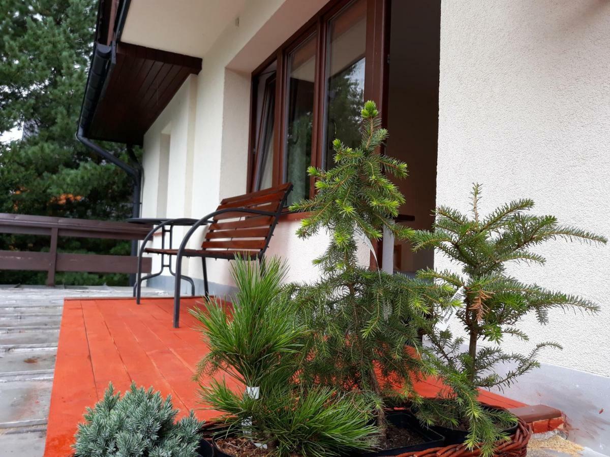Willa Sichla Murzasichle Apartment Ngoại thất bức ảnh
