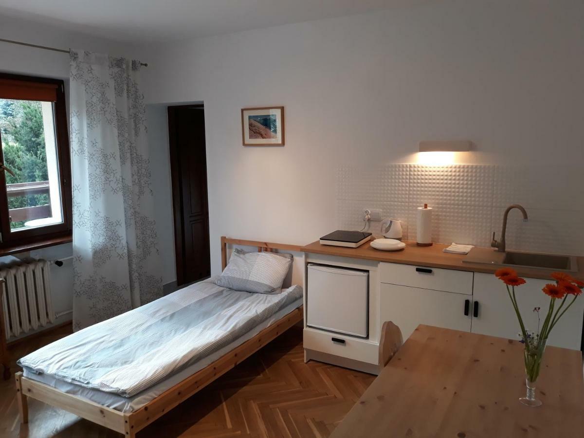 Willa Sichla Murzasichle Apartment Ngoại thất bức ảnh